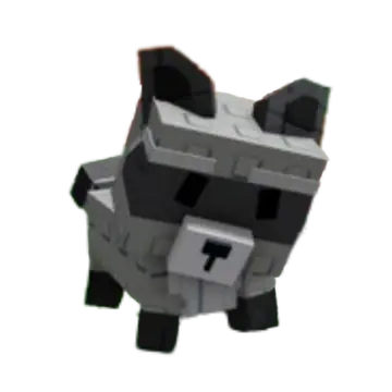 Raccoon